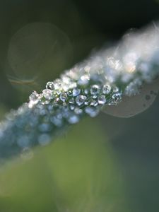 Preview wallpaper grass, ice, macro, frost, blur