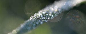 Preview wallpaper grass, ice, macro, frost, blur