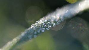 Preview wallpaper grass, ice, macro, frost, blur