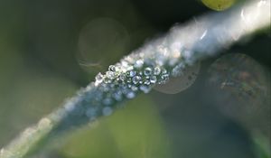 Preview wallpaper grass, ice, macro, frost, blur