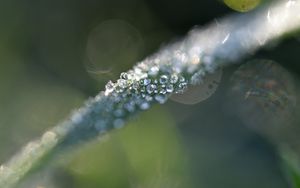 Preview wallpaper grass, ice, macro, frost, blur