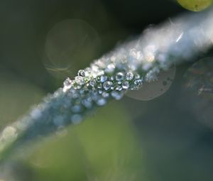 Preview wallpaper grass, ice, macro, frost, blur