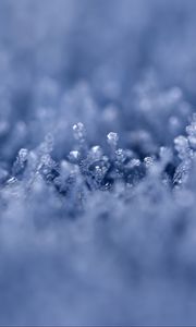 Preview wallpaper grass, ice, snow, frost, macro