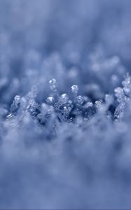 Preview wallpaper grass, ice, snow, frost, macro