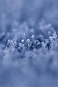 Preview wallpaper grass, ice, snow, frost, macro