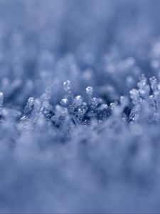 Preview wallpaper grass, ice, snow, frost, macro