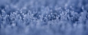 Preview wallpaper grass, ice, snow, frost, macro