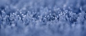 Preview wallpaper grass, ice, snow, frost, macro