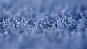 Preview wallpaper grass, ice, snow, frost, macro