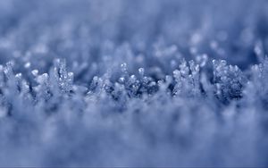 Preview wallpaper grass, ice, snow, frost, macro