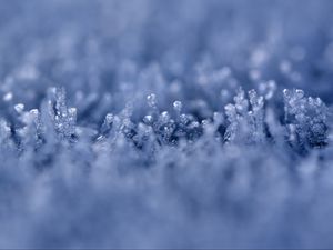 Preview wallpaper grass, ice, snow, frost, macro