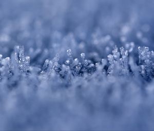 Preview wallpaper grass, ice, snow, frost, macro