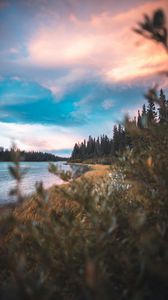 Preview wallpaper grass, lake, forest, sky