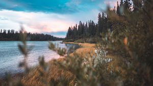 Preview wallpaper grass, lake, forest, sky
