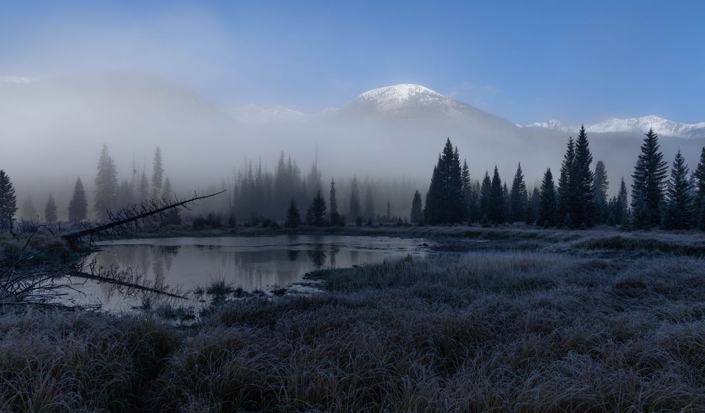 1024x600 Wallpaper grass, lake, trees, forest, fog, mountains, landscape, dark