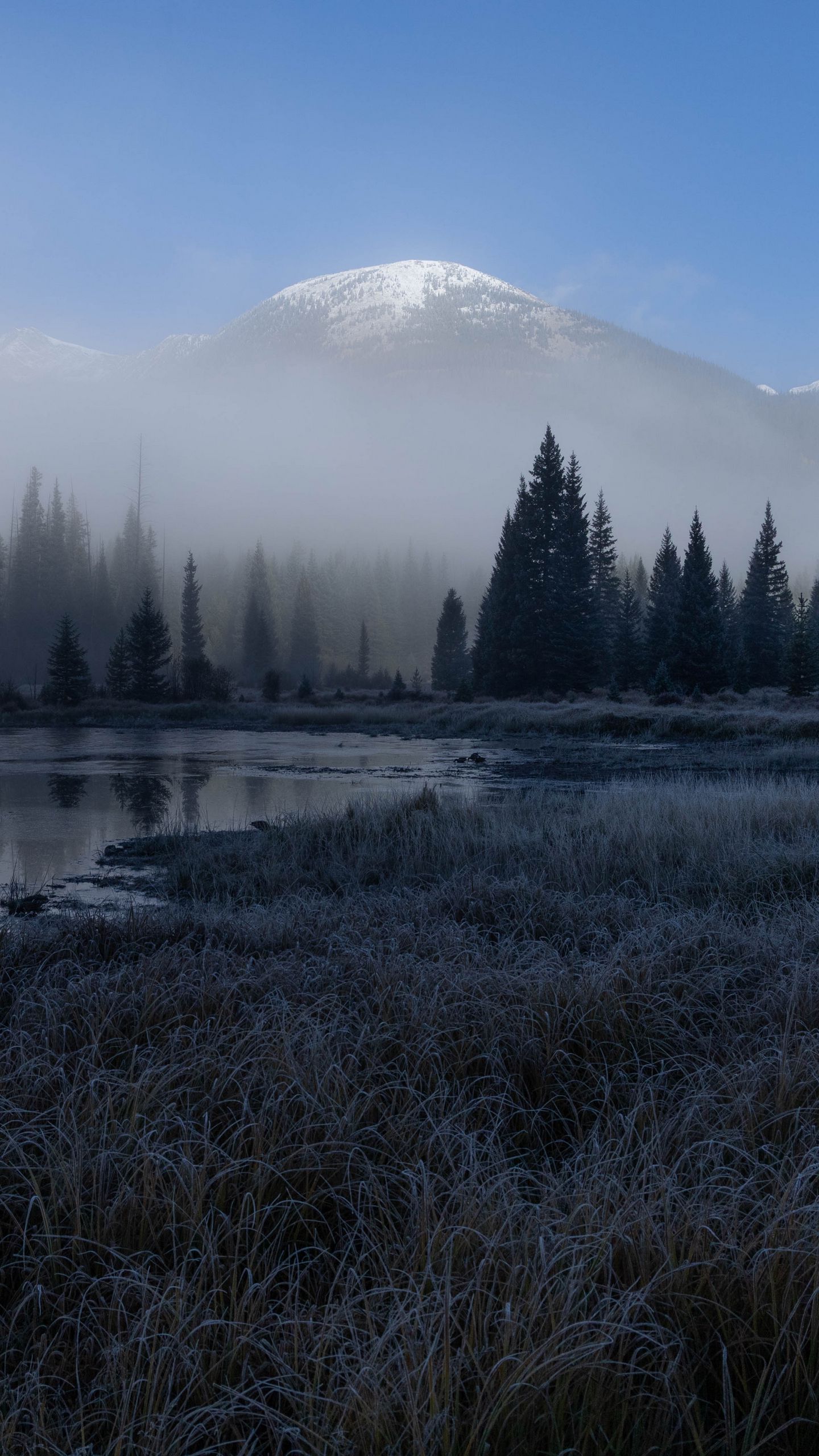 1440x2560 Wallpaper grass, lake, trees, forest, fog, mountains, landscape, dark