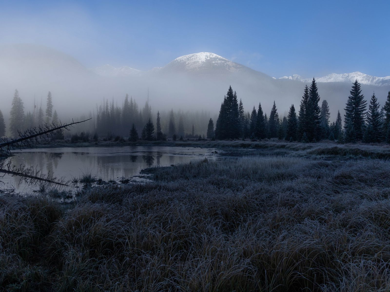 1600x1200 Wallpaper grass, lake, trees, forest, fog, mountains, landscape, dark