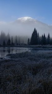 Preview wallpaper grass, lake, trees, forest, fog, mountains, landscape, dark