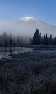 Preview wallpaper grass, lake, trees, forest, fog, mountains, landscape, dark