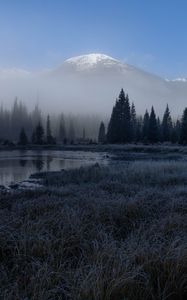 Preview wallpaper grass, lake, trees, forest, fog, mountains, landscape, dark
