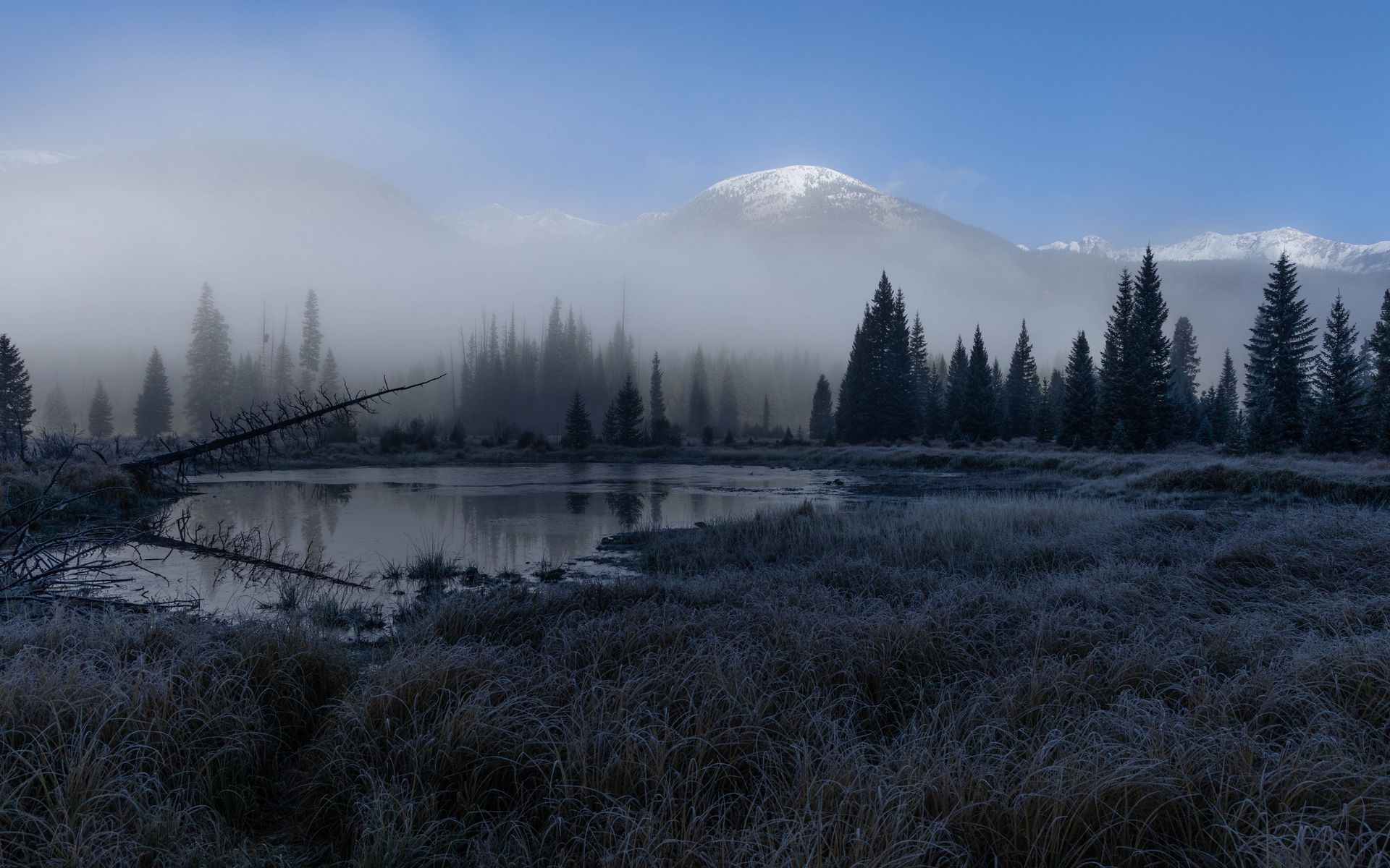 1920x1200 Wallpaper grass, lake, trees, forest, fog, mountains, landscape, dark