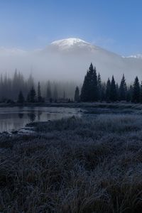 Preview wallpaper grass, lake, trees, forest, fog, mountains, landscape, dark