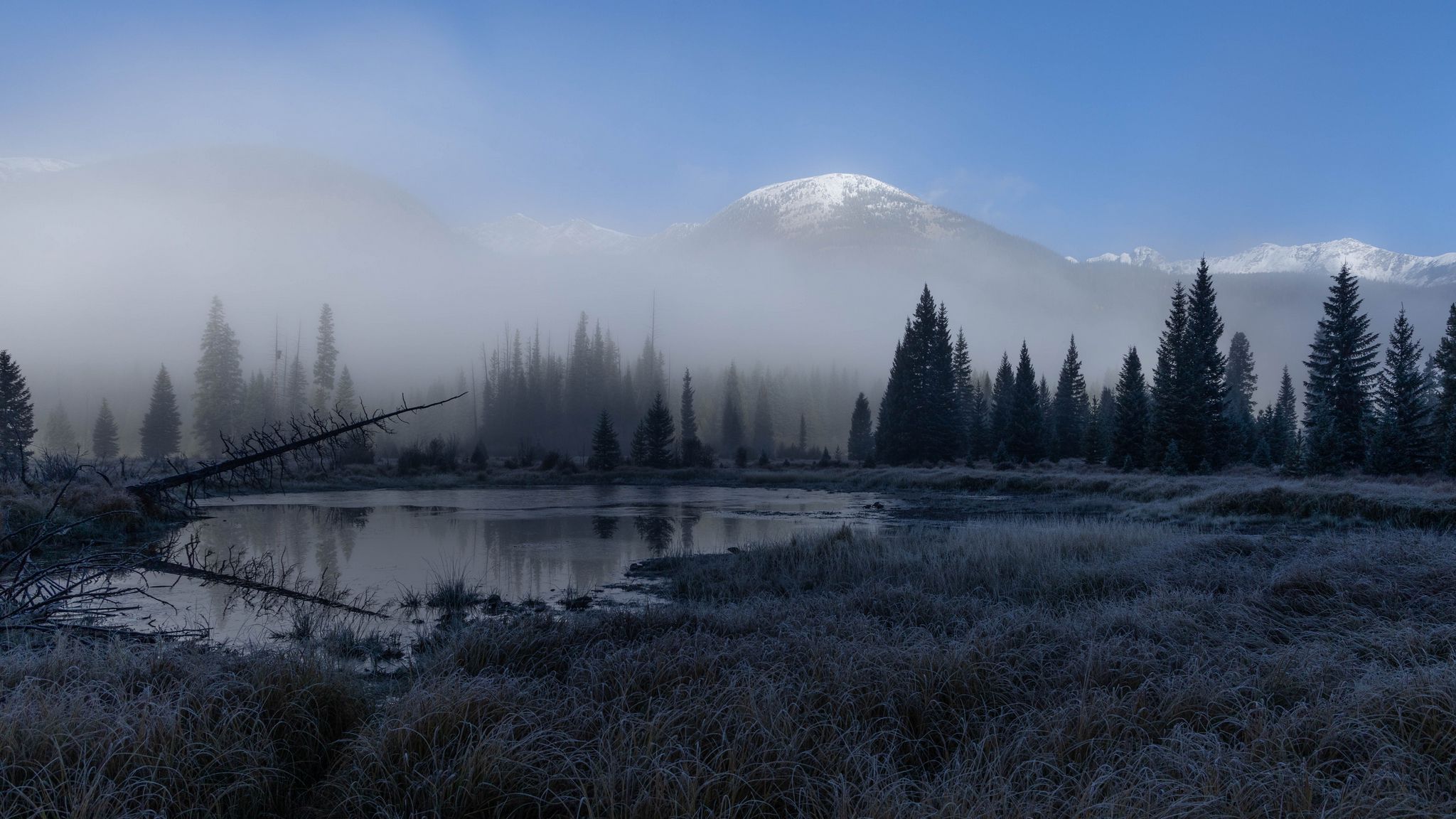 2048x1152 Wallpaper grass, lake, trees, forest, fog, mountains, landscape, dark