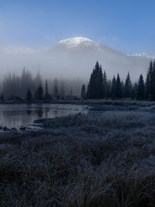 Preview wallpaper grass, lake, trees, forest, fog, mountains, landscape, dark