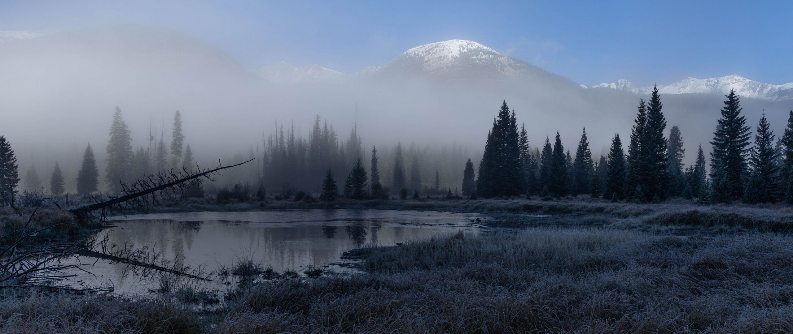 2560x1080 Wallpaper grass, lake, trees, forest, fog, mountains, landscape, dark