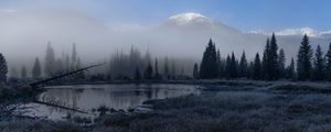 Preview wallpaper grass, lake, trees, forest, fog, mountains, landscape, dark
