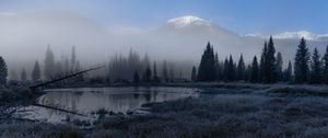 Preview wallpaper grass, lake, trees, forest, fog, mountains, landscape, dark