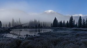 Preview wallpaper grass, lake, trees, forest, fog, mountains, landscape, dark