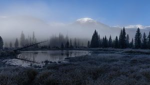 Preview wallpaper grass, lake, trees, forest, fog, mountains, landscape, dark