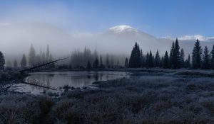 Preview wallpaper grass, lake, trees, forest, fog, mountains, landscape, dark