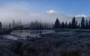 Preview wallpaper grass, lake, trees, forest, fog, mountains, landscape, dark