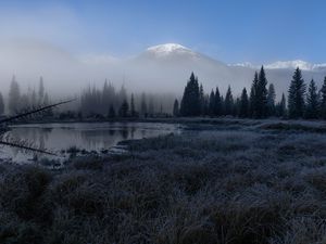 Preview wallpaper grass, lake, trees, forest, fog, mountains, landscape, dark
