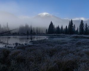Preview wallpaper grass, lake, trees, forest, fog, mountains, landscape, dark