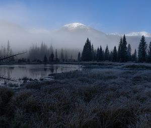 Preview wallpaper grass, lake, trees, forest, fog, mountains, landscape, dark