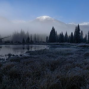Preview wallpaper grass, lake, trees, forest, fog, mountains, landscape, dark