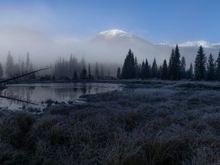 320x240 Wallpaper grass, lake, trees, forest, fog, mountains, landscape, dark
