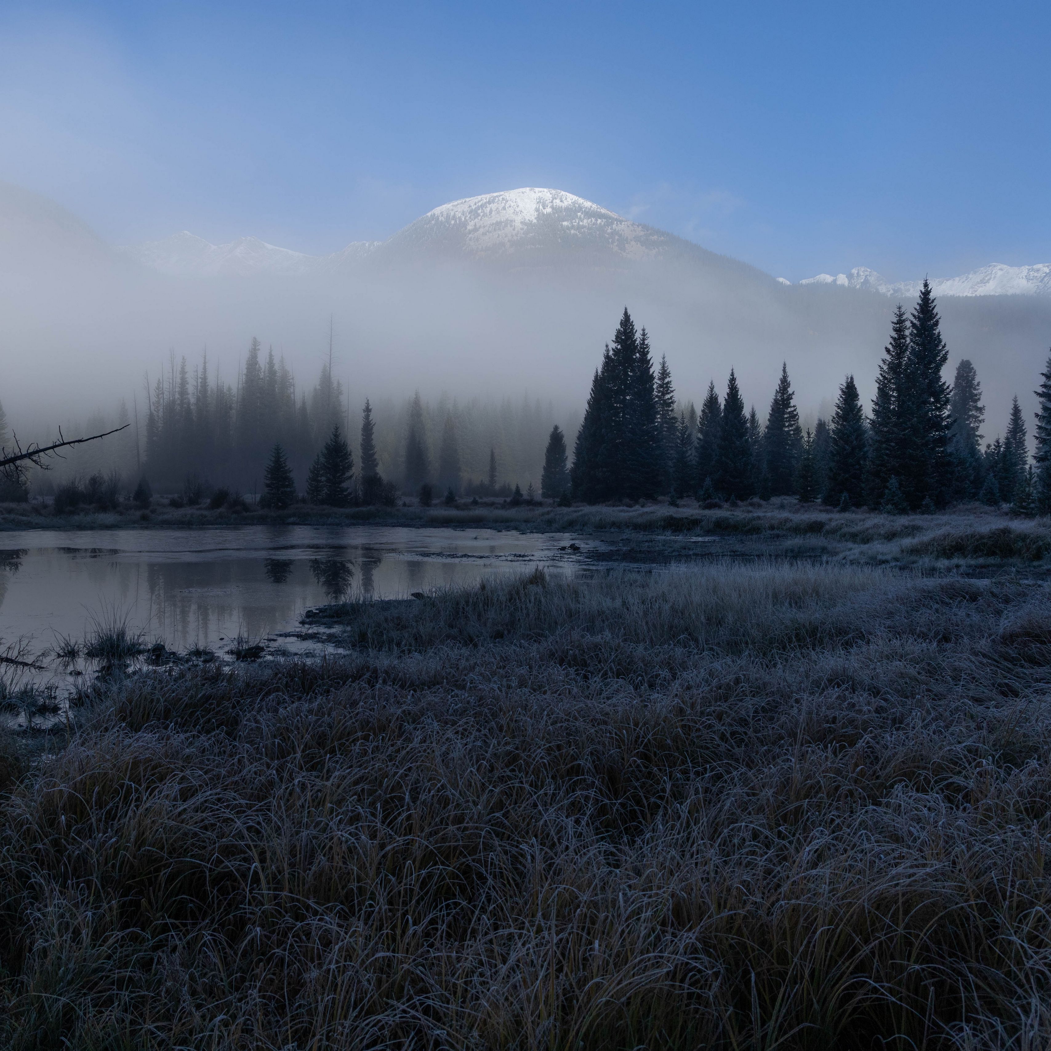3415x3415 Wallpaper grass, lake, trees, forest, fog, mountains, landscape, dark