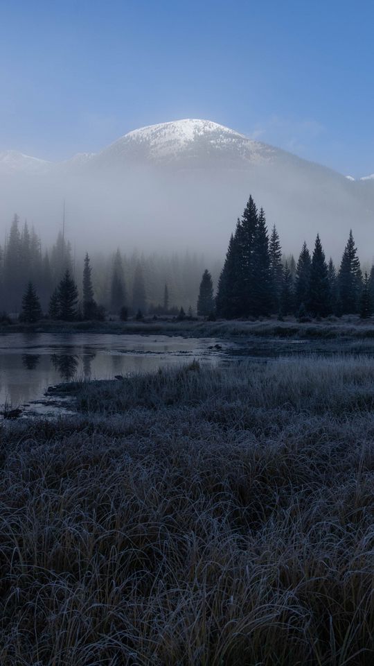 540x960 Wallpaper grass, lake, trees, forest, fog, mountains, landscape, dark