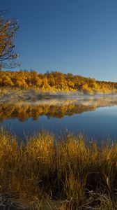 Preview wallpaper grass, lake, trees, reflection, autumn