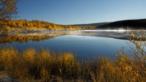 Preview wallpaper grass, lake, trees, reflection, autumn