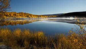 Preview wallpaper grass, lake, trees, reflection, autumn