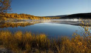 Preview wallpaper grass, lake, trees, reflection, autumn