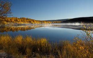 Preview wallpaper grass, lake, trees, reflection, autumn
