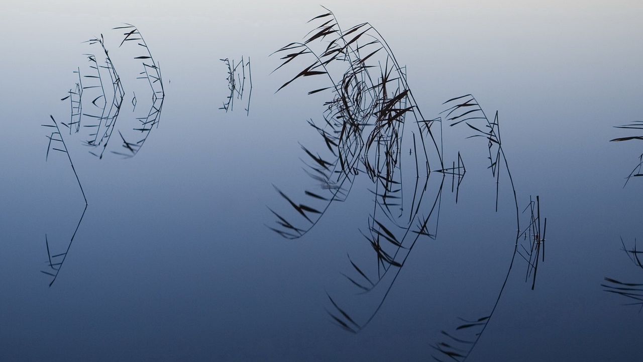 Wallpaper grass, lake, water table