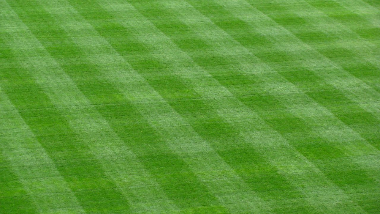 Wallpaper grass, lawn, field, green