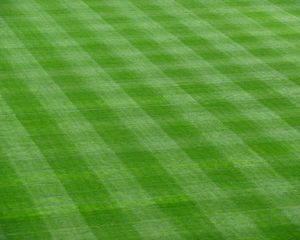 Preview wallpaper grass, lawn, field, green